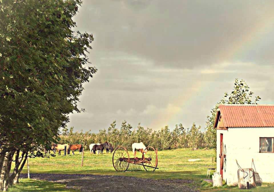 Rauthuskrithur Farm Holmabaeir Екстер'єр фото