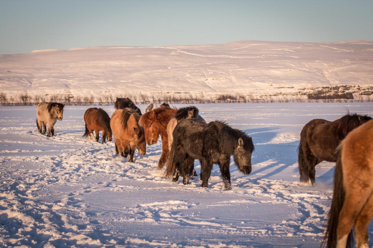 Rauthuskrithur Farm Holmabaeir Екстер'єр фото