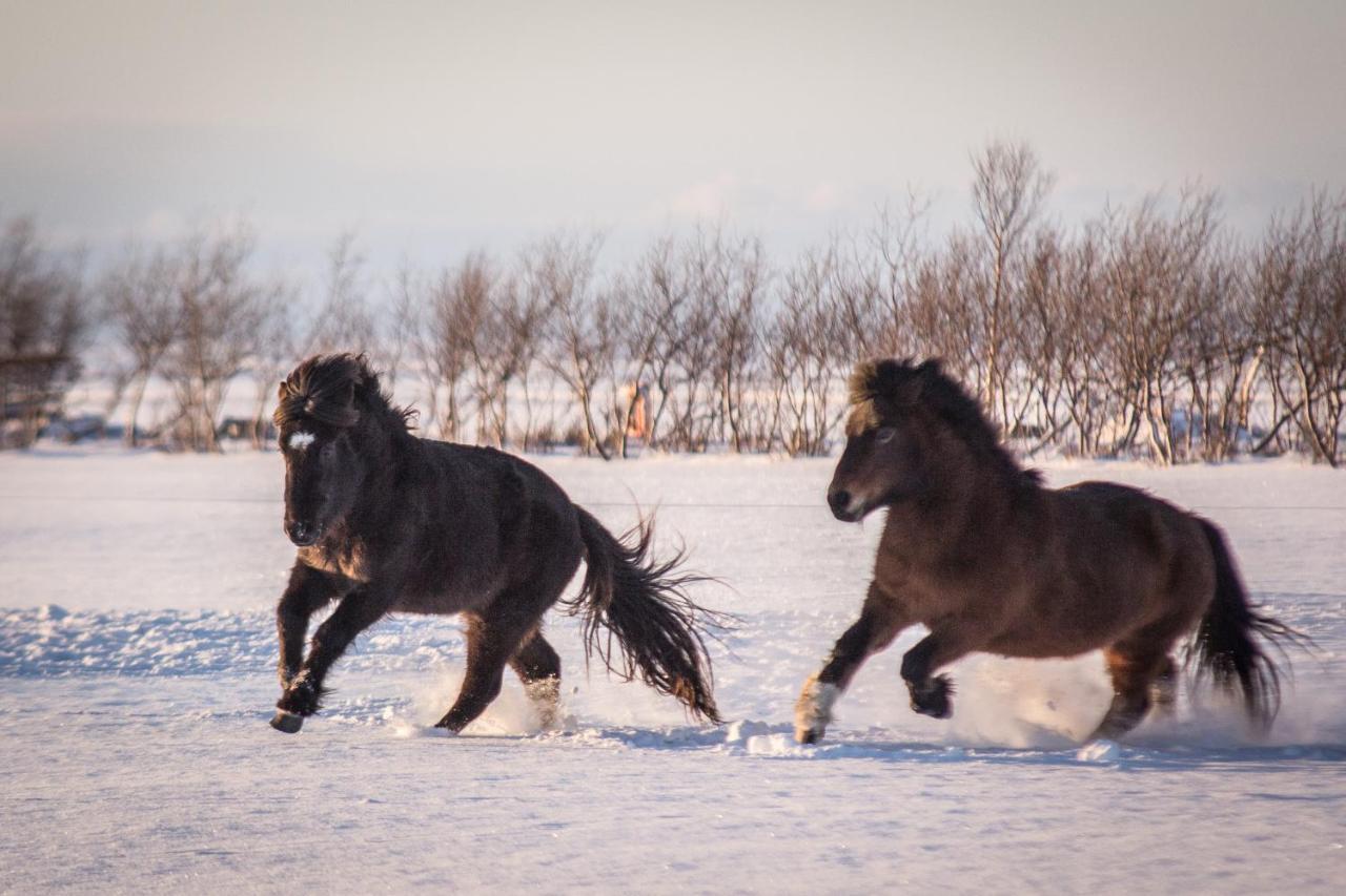 Rauthuskrithur Farm Holmabaeir Екстер'єр фото