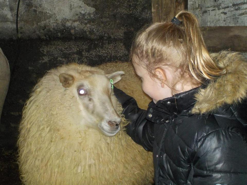 Rauthuskrithur Farm Holmabaeir Екстер'єр фото
